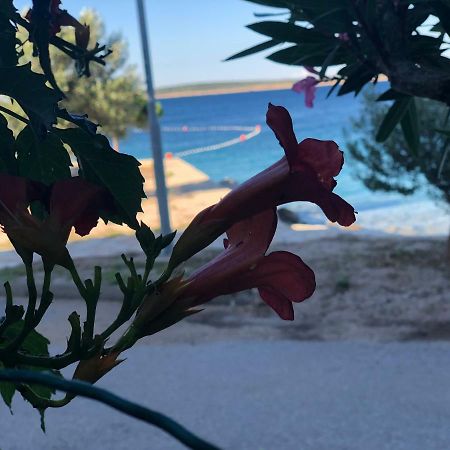 Croatia Mandre Apartment ภายนอก รูปภาพ