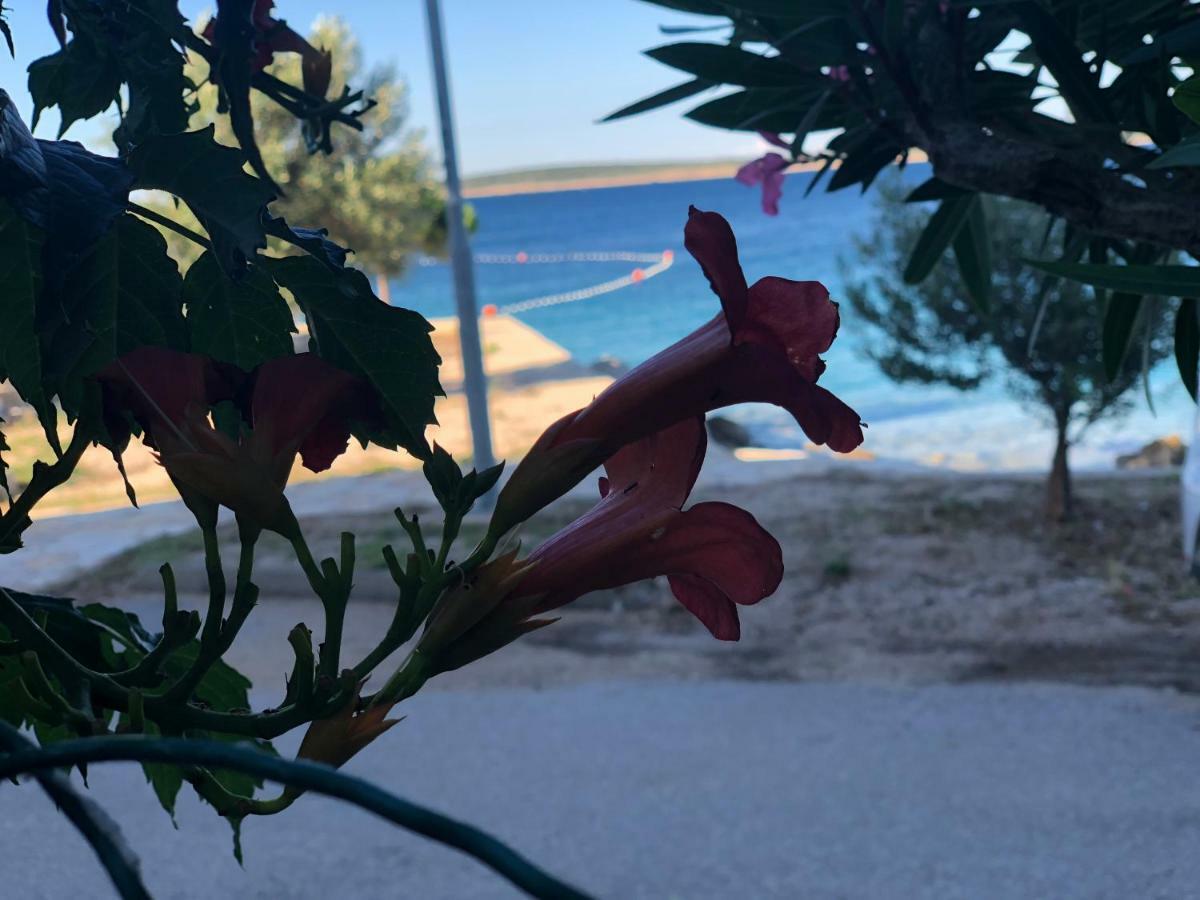 Croatia Mandre Apartment ภายนอก รูปภาพ