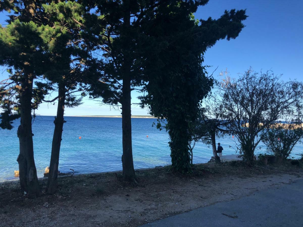 Croatia Mandre Apartment ภายนอก รูปภาพ